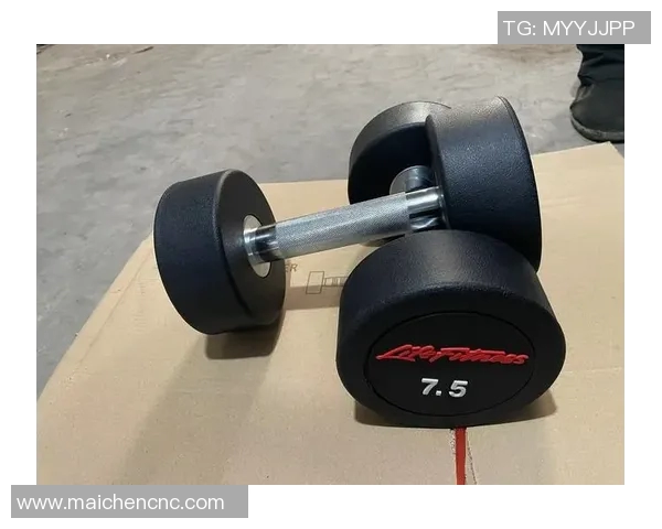 哈尔滨健身器材批发市场全景探秘发现优质器材与实惠价格的最佳选择